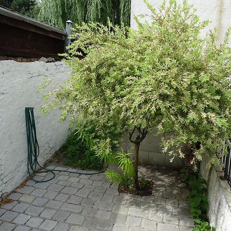 Mur 4 - Apartament Z Patio Stary Toruń المظهر الخارجي الصورة