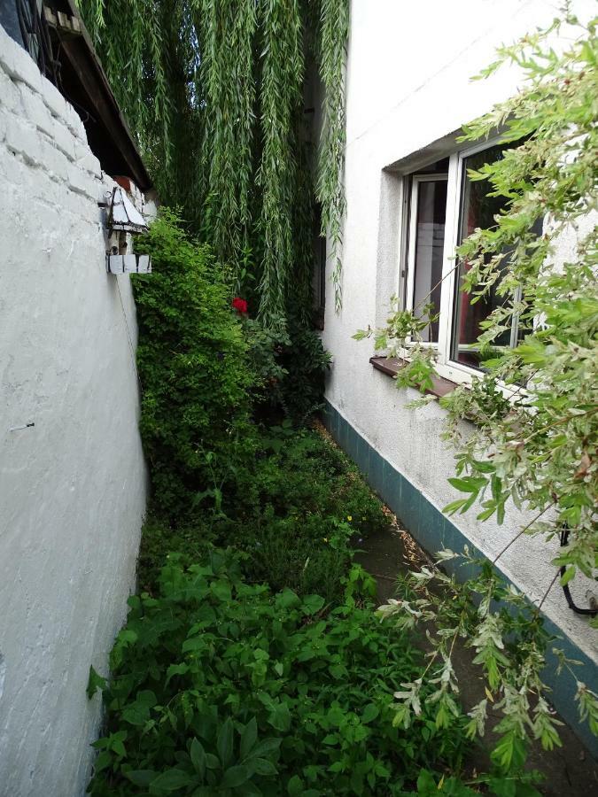 Mur 4 - Apartament Z Patio Stary Toruń المظهر الخارجي الصورة