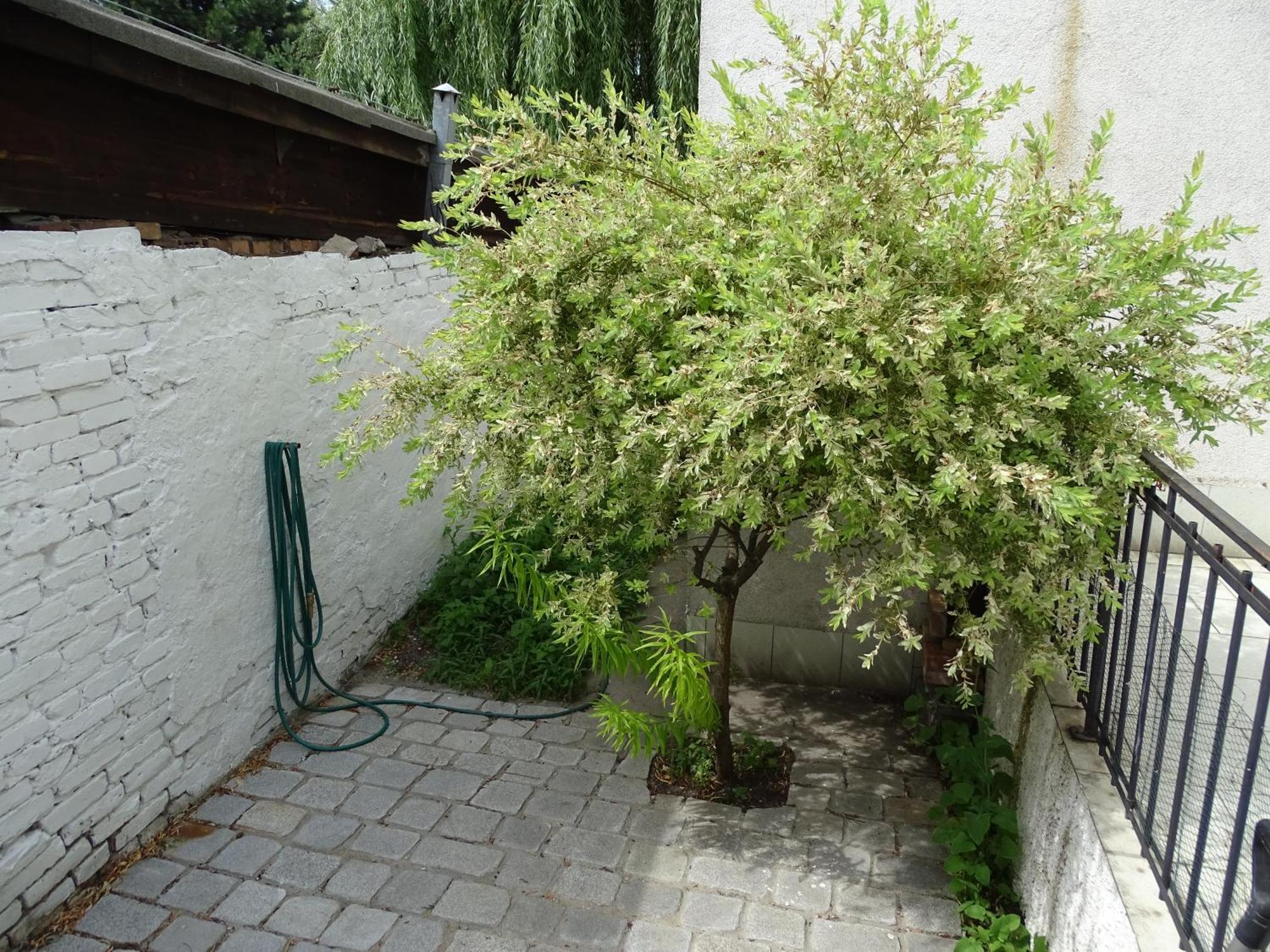 Mur 4 - Apartament Z Patio Stary Toruń المظهر الخارجي الصورة